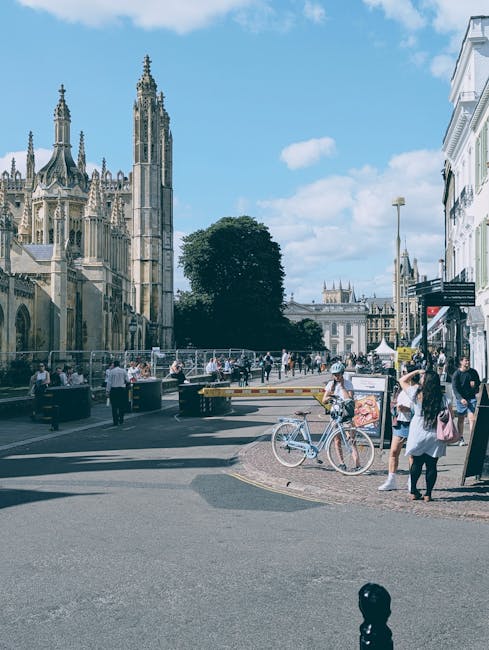 A wide residential street in Bethnal Green during daytime, with parked cars lining both sides of the road. The left pavement features potted plants with flowering arrangements and a few pedestrians walking, including a person carrying a box. At the end of the street, there are trees and more buildings in the distance. To the right, shopfronts and commercial buildings with signage are visible, while on the left, a corner building displays the logo of a pub or restaurant. A van belonging to Man With a Van Bethnal Green is shown in the process of loading furniture and boxes into its rear, part of a home relocation or furniture transport operation. The scene captures the organized parking, the urban environment, and the activity associated with packing and moving services, with natural lighting and clear visibility of the street layout, vehicles, and surroundings.